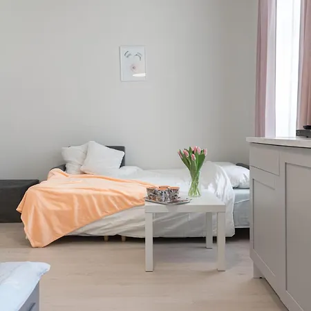아파트 Kalamehe Modern 1 Near Center
