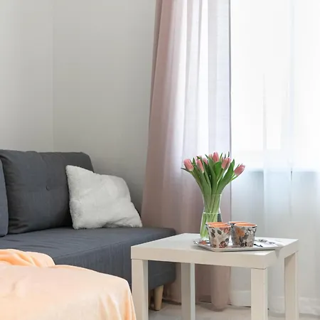 Apartament Kalamehe Modern 1 Near Center *