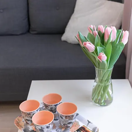 Kalamehe Modern 1 Near Center Апартаменты *