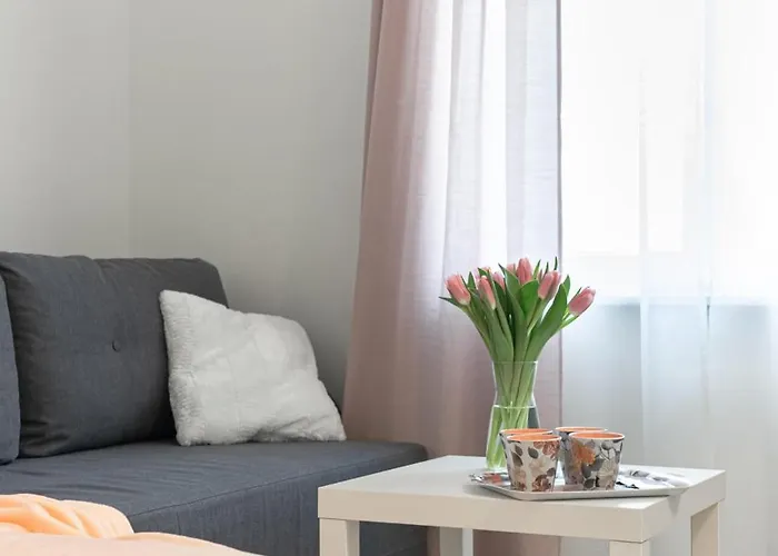 Διαμέρισμα Kalamehe Modern 1 Near Center *