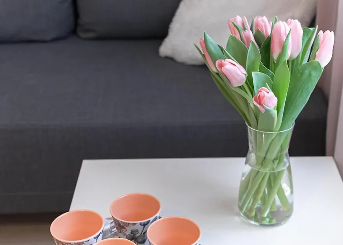 Kalamehe Modern 1 Near Center Διαμέρισμα *