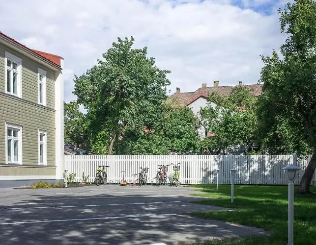 Kalamehe Modern 1 Near Center